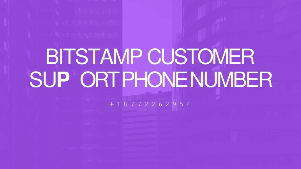 bitstamp customer su p ort phone number