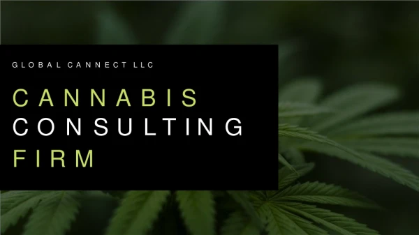 Cannabis Consulting Firm | Canna Business Consultants