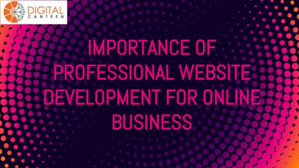 Importance of Professional Website Development for Online Business