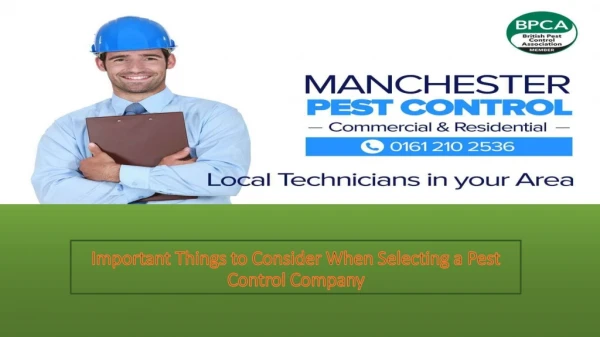 Important Things to Consider When Selecting a Pest Control Company