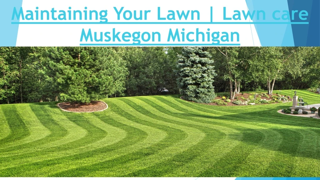 maintaining your lawn lawn care muskegon michigan