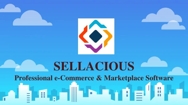 Professional e-Commerce & Marketplace Software