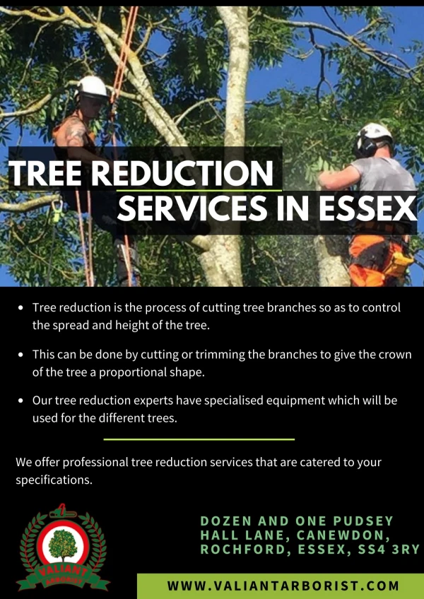 Tree Reduction Services - Valiant Arborist