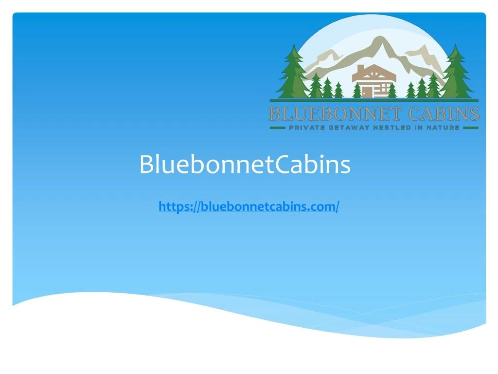 bluebonnetcabins