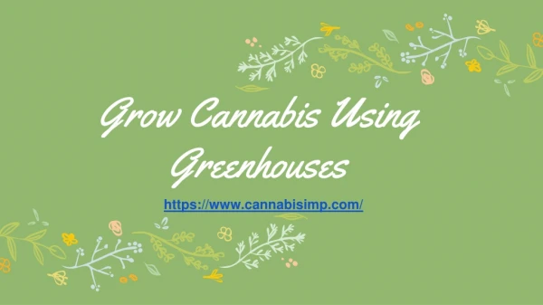 Grow Cannabis Using Greenhouses