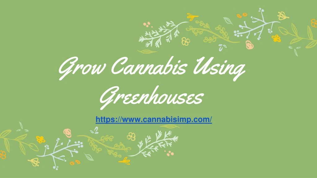 grow cannabis using greenhouses