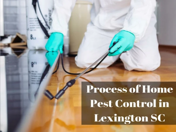 Process of Home Pest Control in Lexington SC by Columbia Certified Pest Control