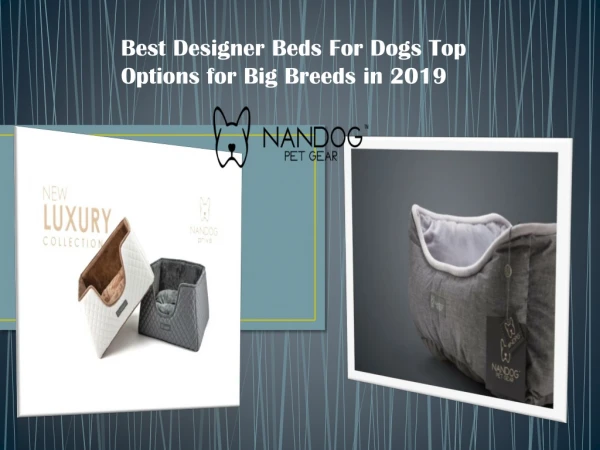 Best Designer Beds For Dogs Top Options for Big Breeds in 2019