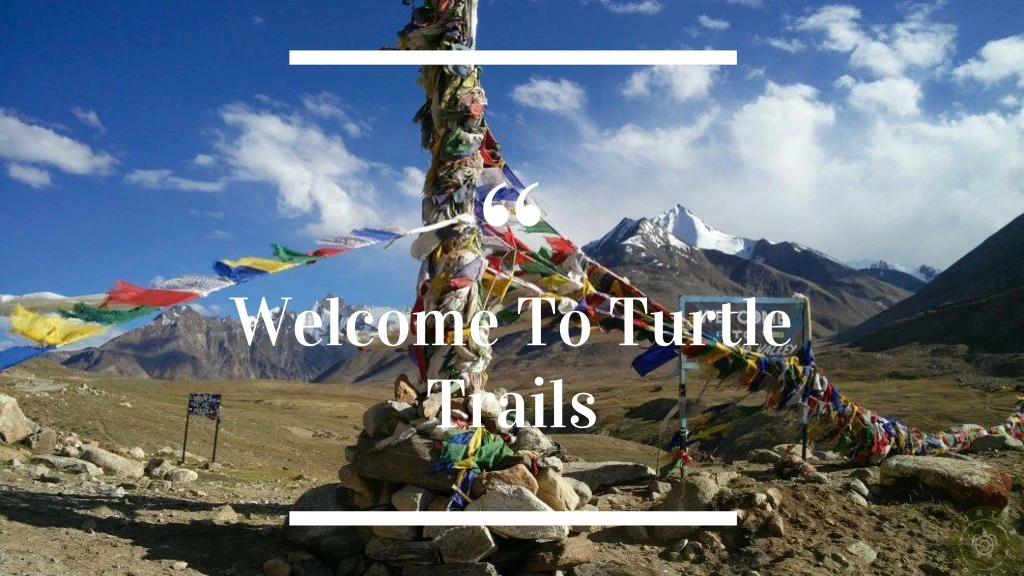 welcome to turtle trails