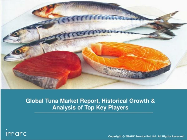 Tuna Market: Global Trends, Growth, Segment By Species, Type, Region and Competitive Landscape Till 2023