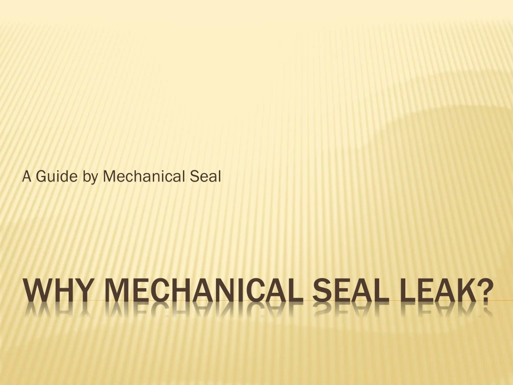 a guide by mechanical seal