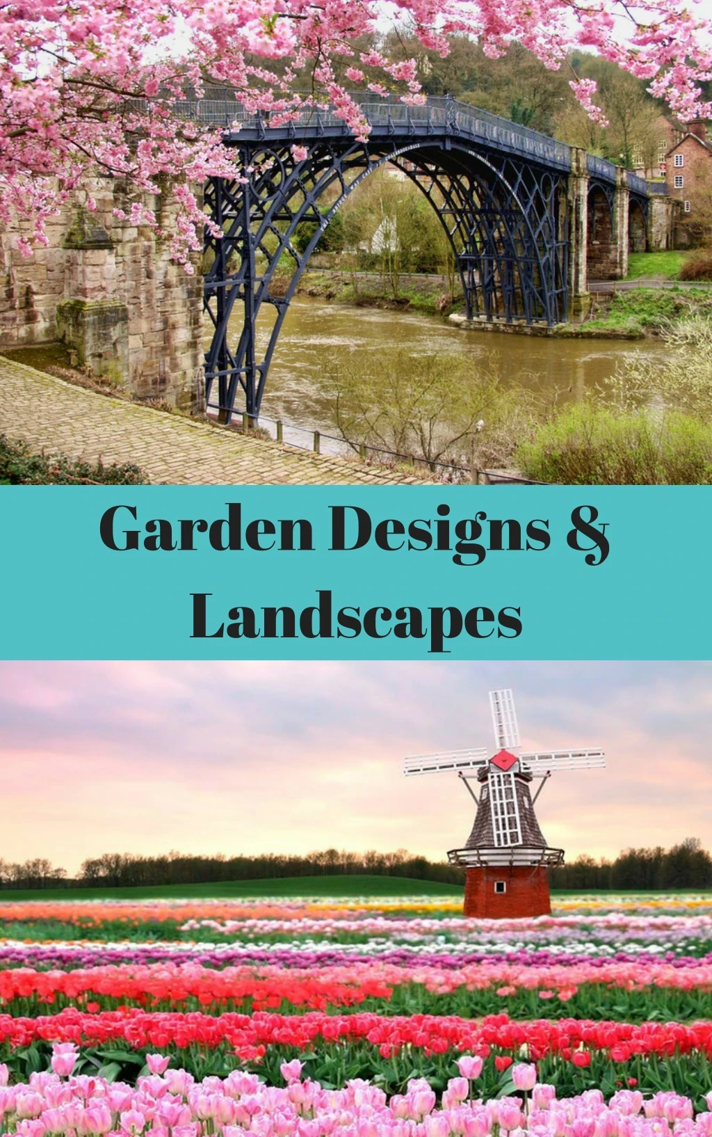 garden designs landscapes