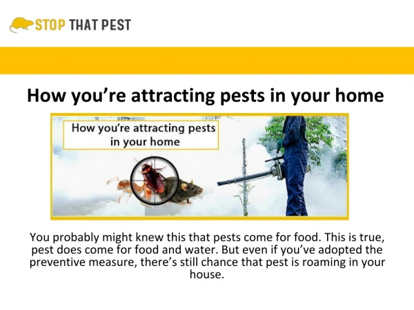 HOW YOU’RE ATTRACTING PESTS IN YOUR HOME