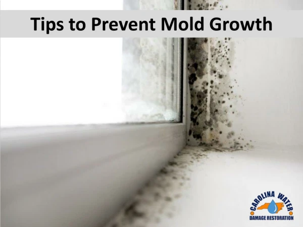 Tips to Prevent Mold Growth by Carolina Water Damage Restoration