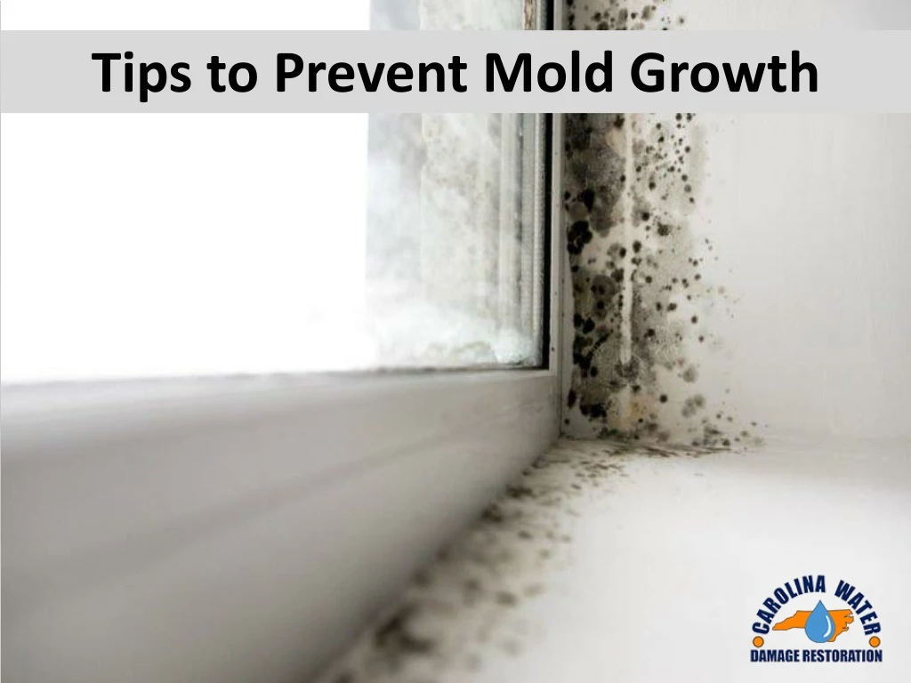 tips to prevent mold growth