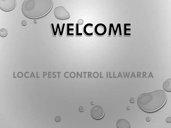 Best Pest Control in Illawarra