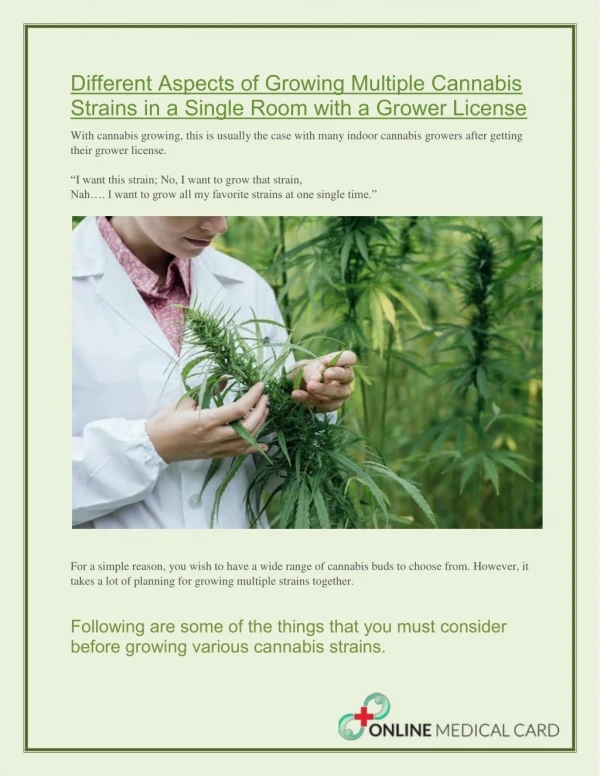 Different Aspects of Growing Multiple Cannabis Strains in a Single Room with a Grower License