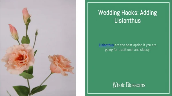 Perfect Floral Arrangements with Glorious Lisianthus Flower