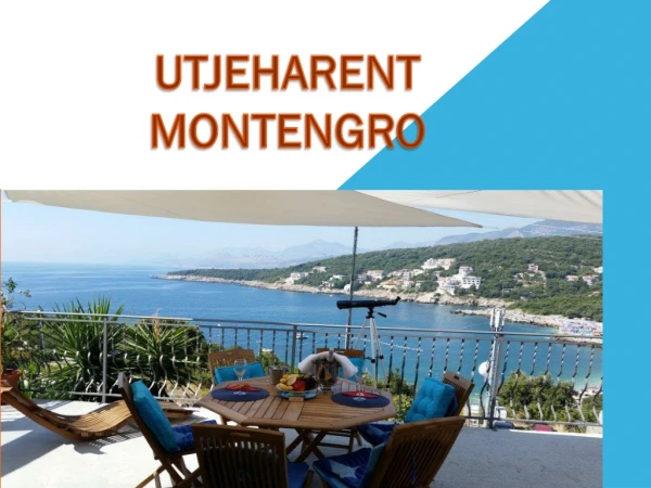 Montenegro apartment for rent
