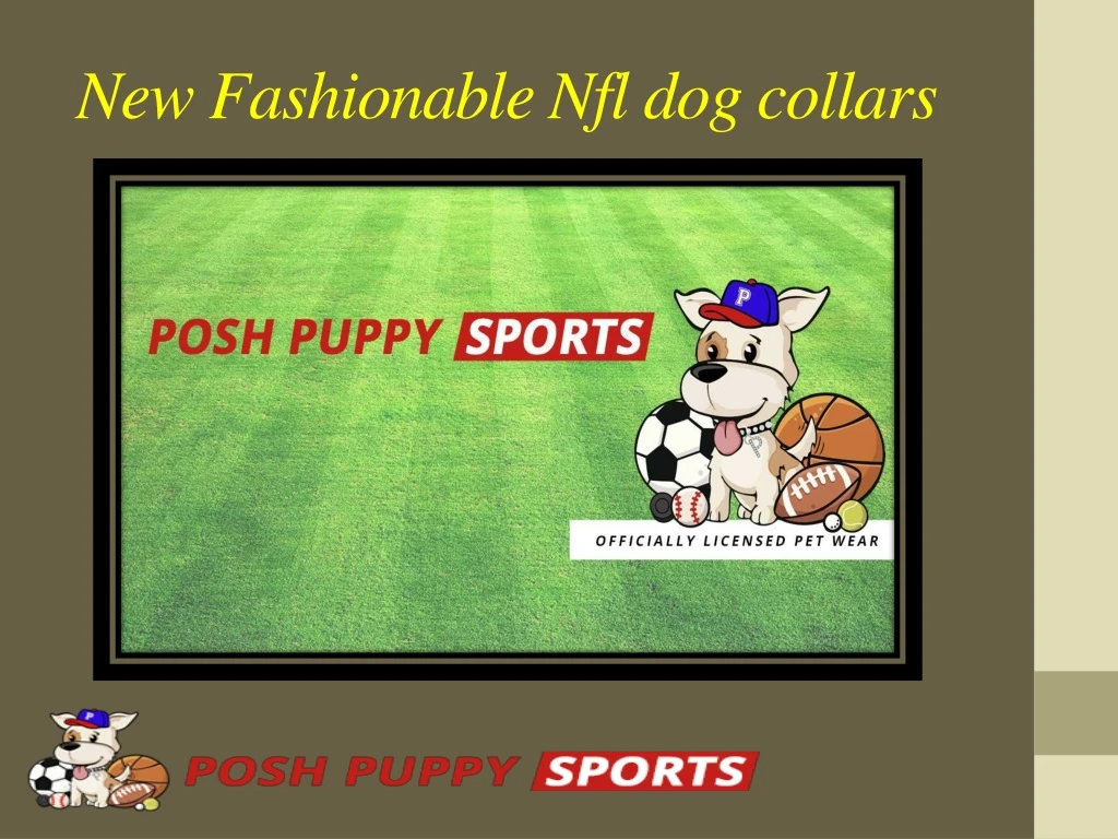 new fashionable nfl dog collars