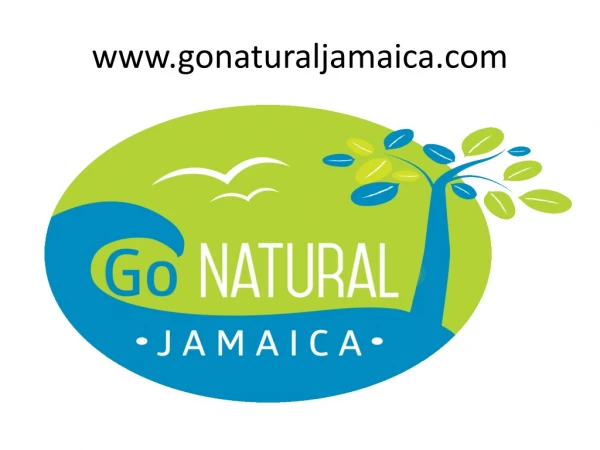 Yoga Retreat Jamaica - Www.gonaturaljamaica.com