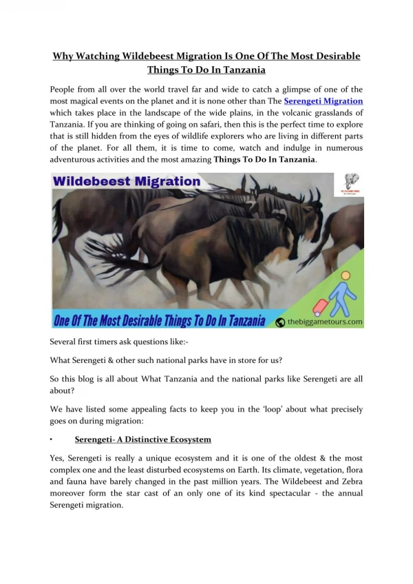 Why Watching Wildebeest Migration Is One Of The Most Desirable Things To Do In Tanzania