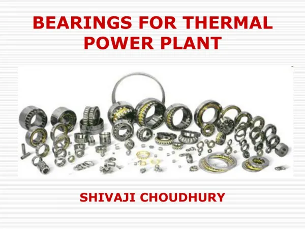 BEARINGS FOR THERMAL POWER PLANTS