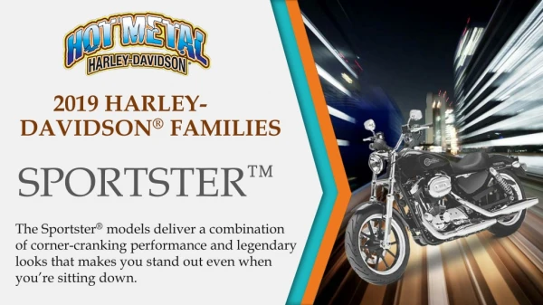 2019 Harley-Davidson ® Families