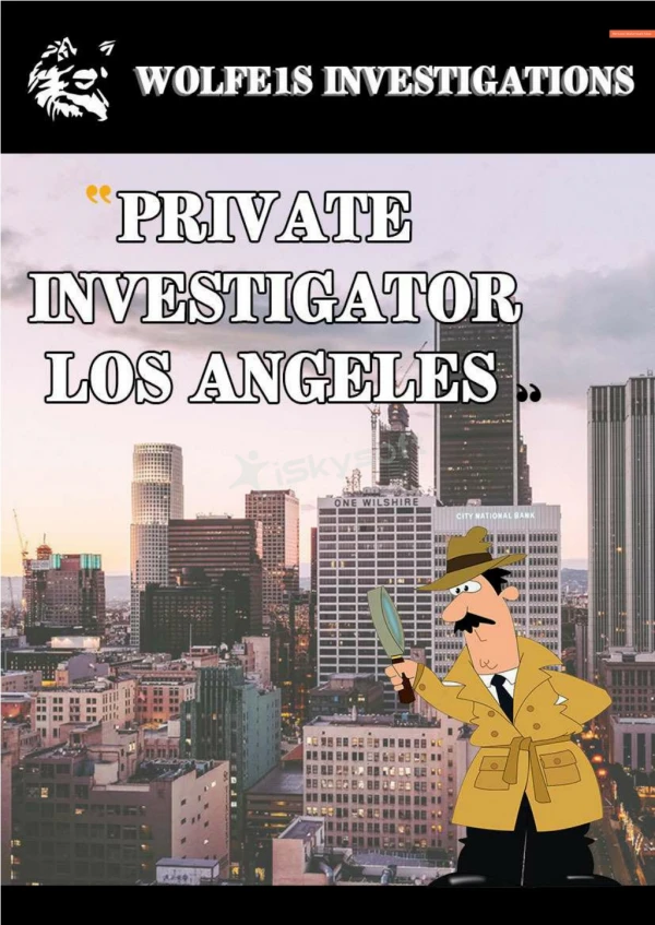 How Private Investigators in Los Angeles Help in Child Custody Investigations and What They Find?