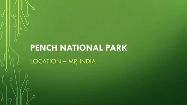 Pench National Park Tour