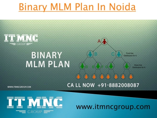 Binary MLM Plan In Noida