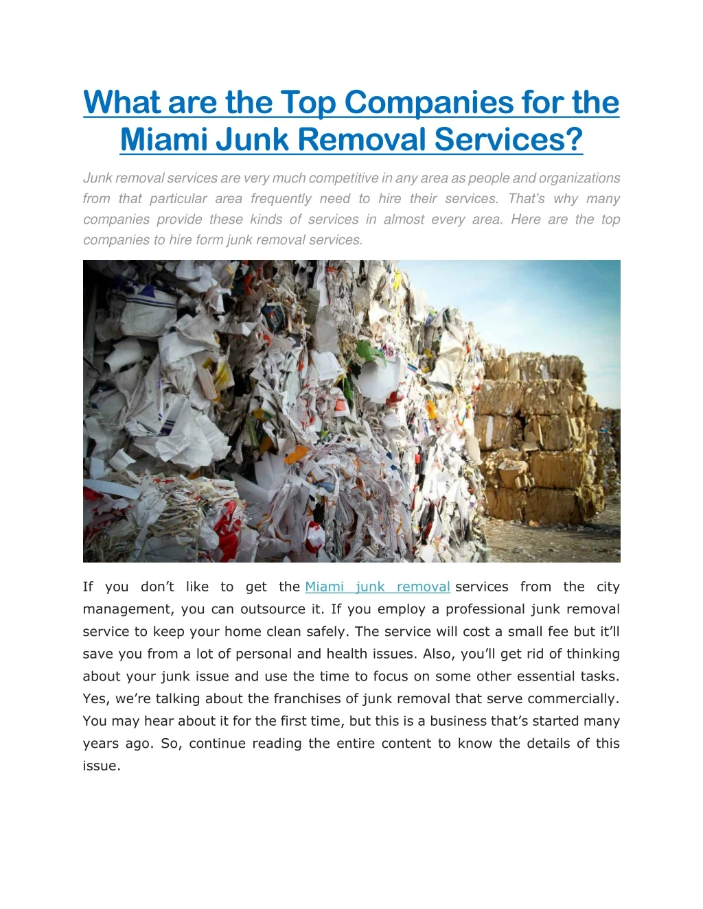 what are the top companies for the miami junk