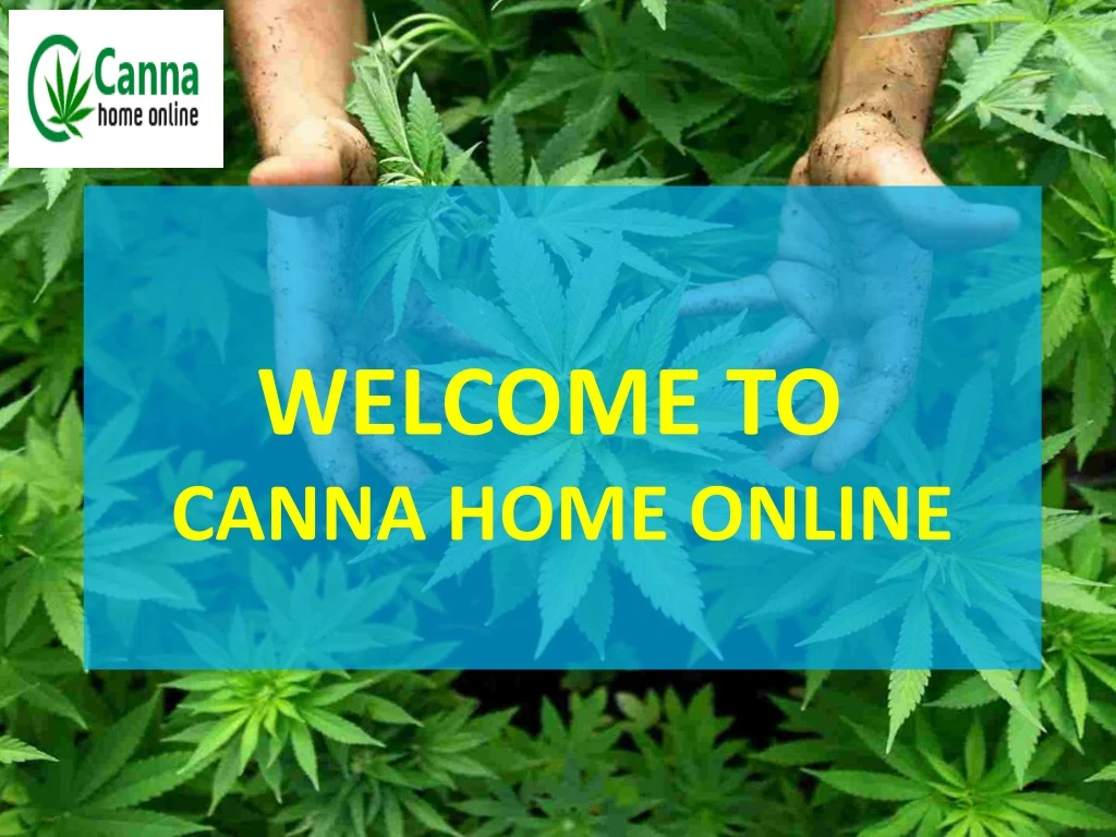 welcome to canna home online