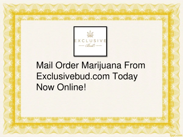 Mail Order Marijuana From Exclusivebud Today Now Online!
