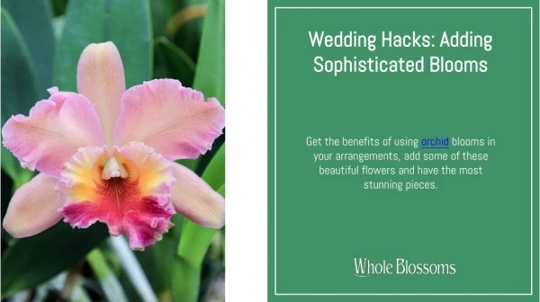 Make Your Decoration Unique with Wholesale Orchids