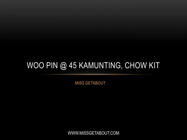 Woo Pin @ 45 Kamunting, Chow Kit