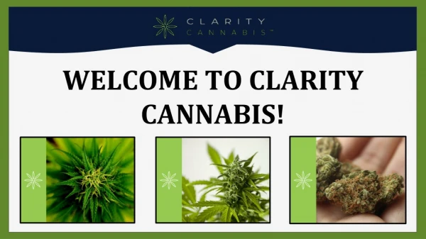 Buy Cannabis Seeds in Canada | Clarity Cannabis