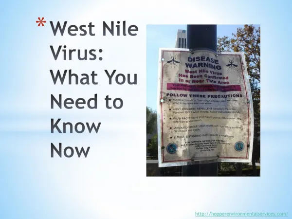 West Nile Virus: What You Need to Know Now