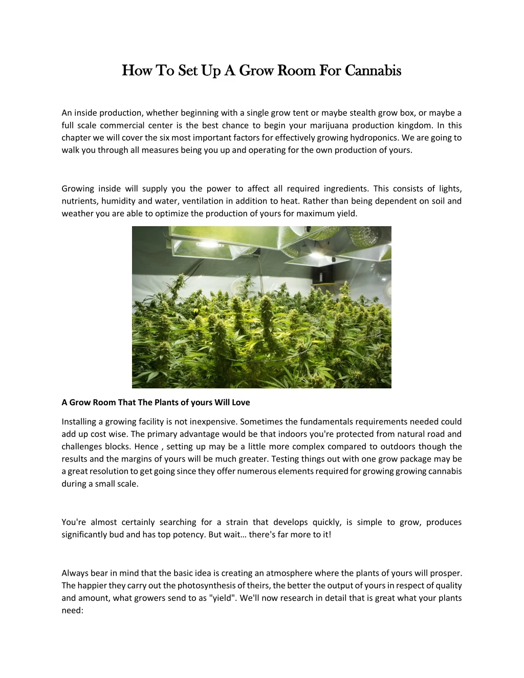 how to set up a grow room for cannabis