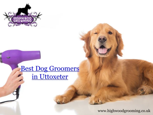 Best Dog Groomers Uttoxeter - Highwood Grooming