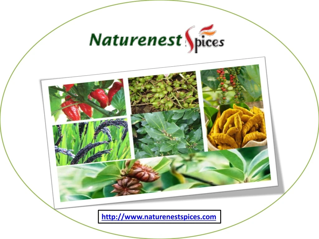http www naturenestspices com
