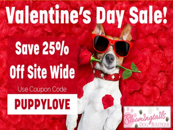 Valentine's Day SALE Online || Bloomingtailsdogboutique