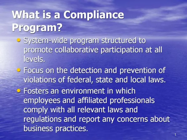 What is a Compliance Program
