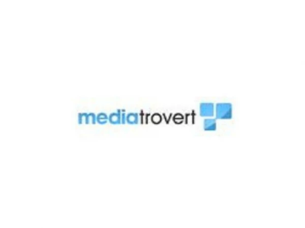 Small Business SEO Services Los Angeles | Media Trovert
