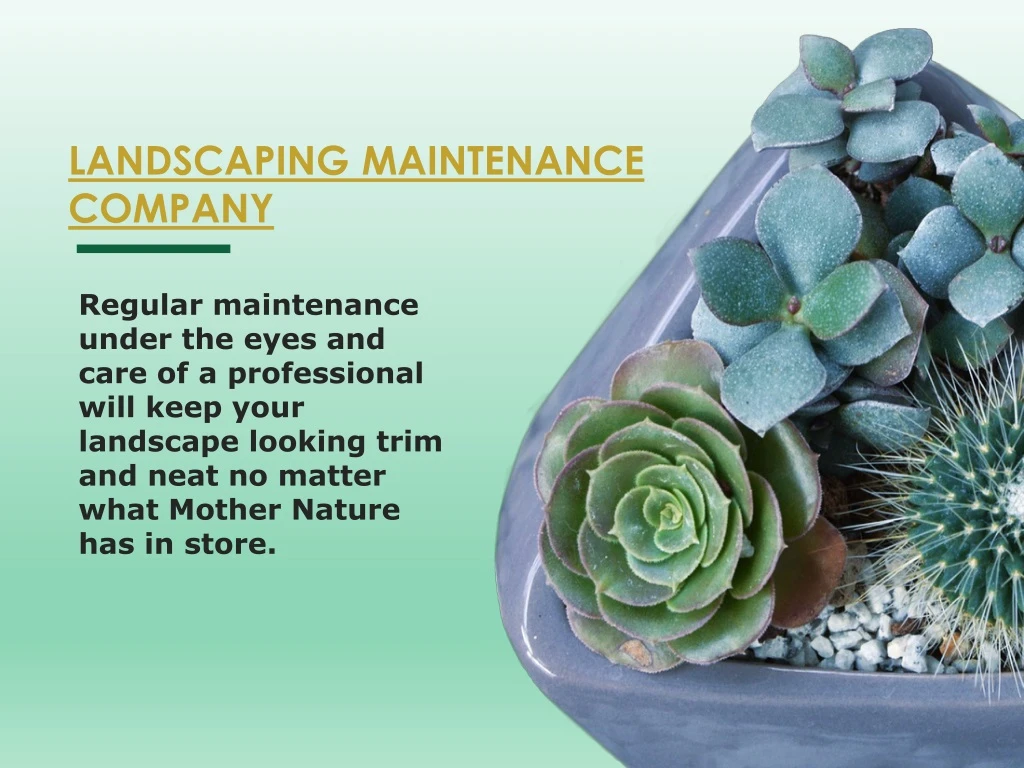 landscaping maintenance company