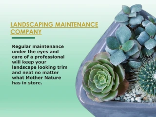 Landscape Contractor near me - slide 1