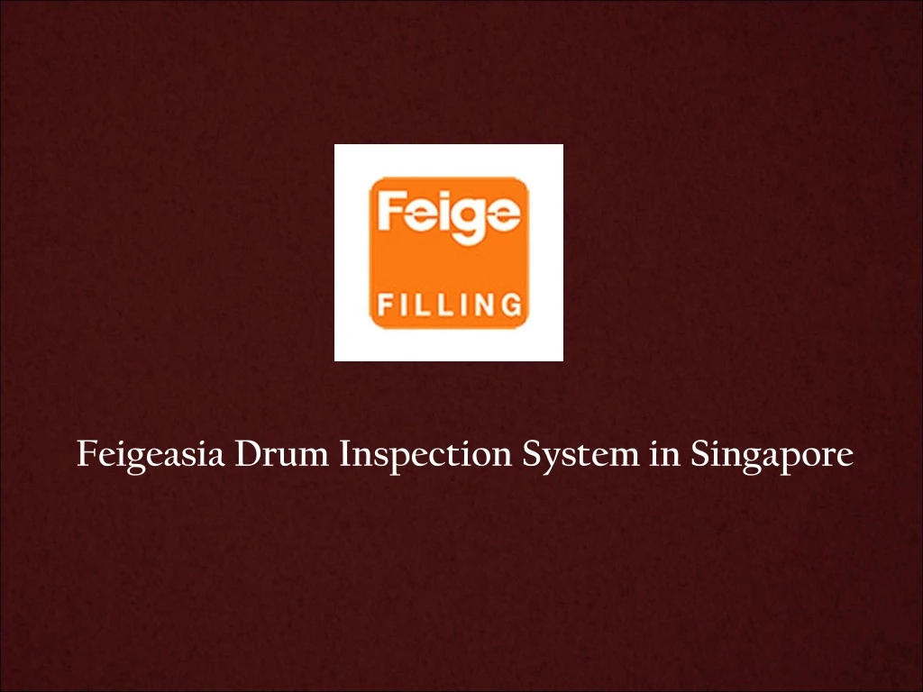 feigeasia drum inspection system in singapore