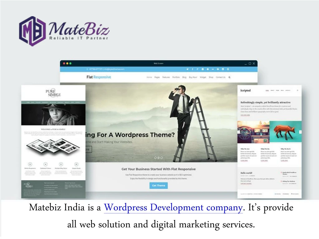 matebiz india is a wordpress development company