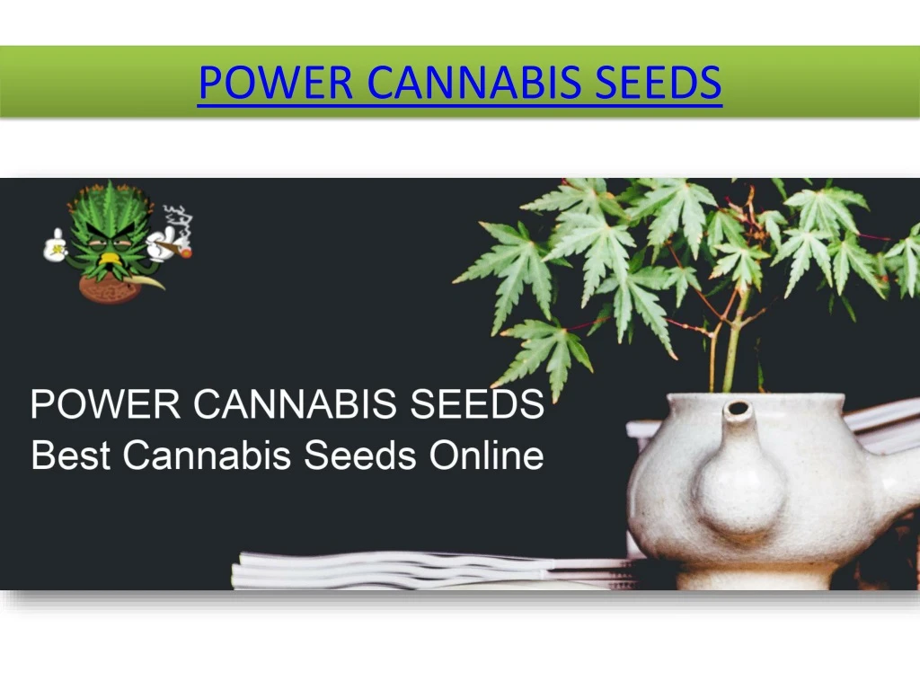 power cannabis seeds