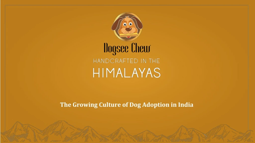 the growing culture of dog adoption in india